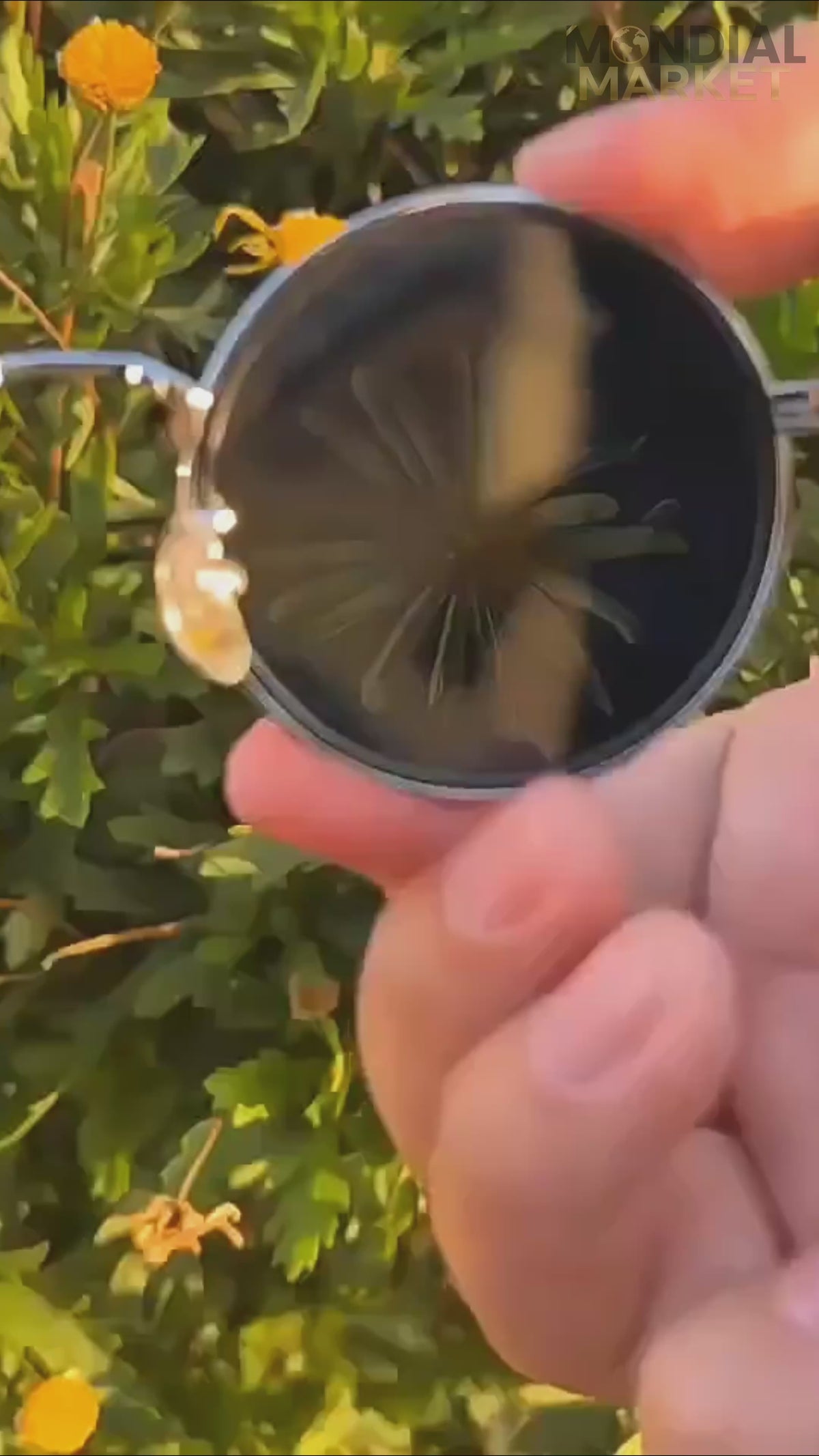 Lunettes rondes rétro en alliage aluminium